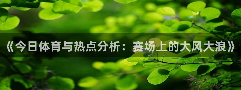 《今日体育与热点分析：赛场上的大风大浪》