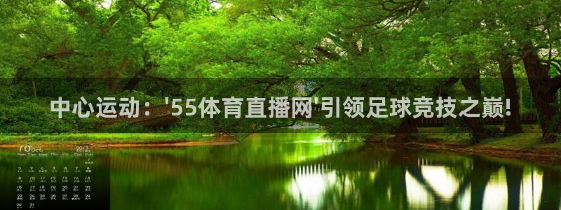 中心运动：\'55体育直播网\'引领足球竞技之巅!