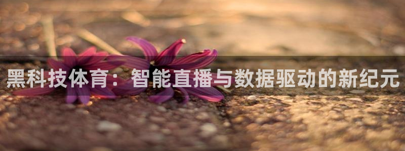 黑科技体育：智能直播与数据驱动的新纪元