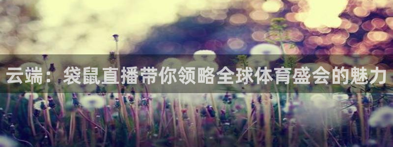 云端：袋鼠直播带你领略全球体育盛会的魅力