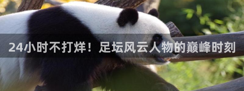 24小时不打烊！足坛风云人物的巅峰时刻