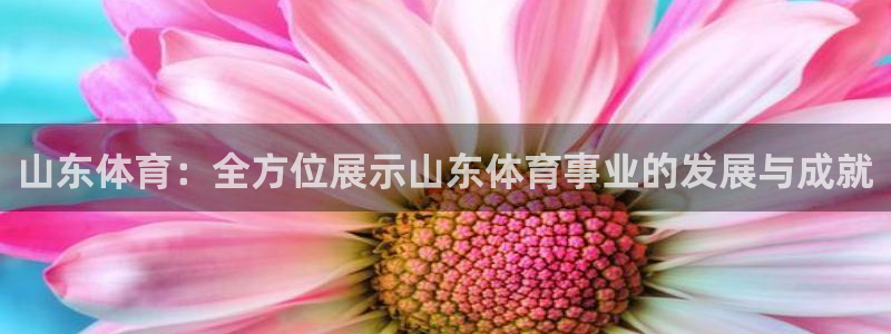 山东体育：全方位展示山东体育事业的发展与成就