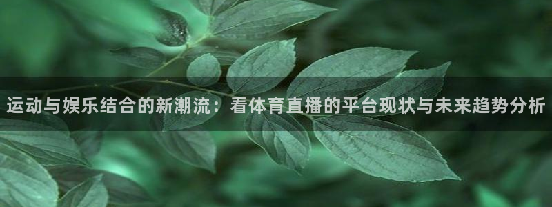 运动与娱乐结合的新潮流：看体育直播的平台现状与未来趋势分析