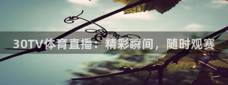 30TV体育直播：精彩瞬间，随时观赛