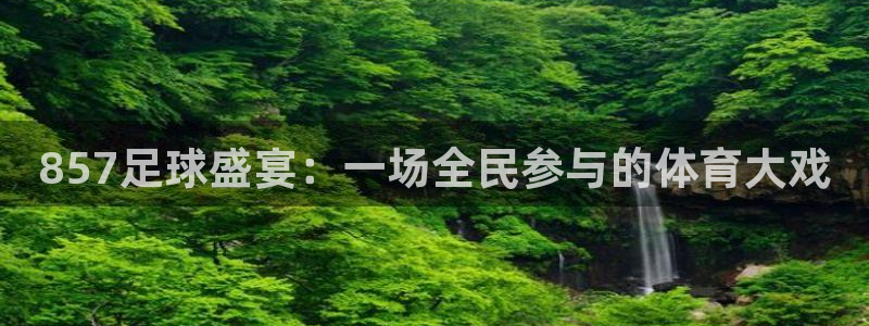 857足球盛宴：一场全民参与的体育大戏