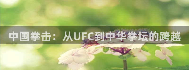 中国拳击：从UFC到中华拳坛的跨越