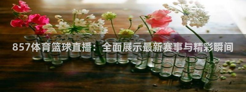 857体育篮球直播：全面展示最新赛事与精彩瞬间