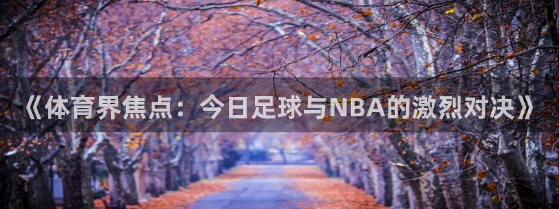 《体育界焦点：今日足球与NBA的激烈对决》