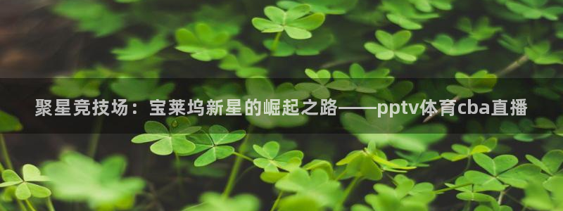 聚星竞技场：宝莱坞新星的崛起之路——pptv体育cba直播