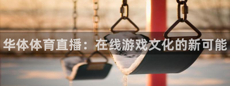 华体体育直播：在线游戏文化的新可能