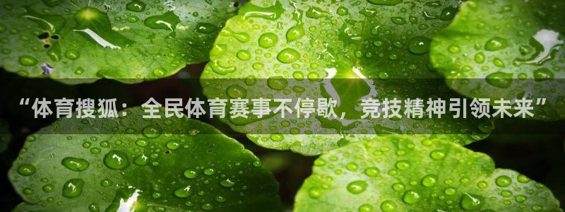 “体育搜狐：全民体育赛事不停歇，竞技精神引领未来”