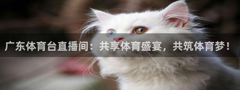 广东体育台直播间：共享体育盛宴，共筑体育梦！