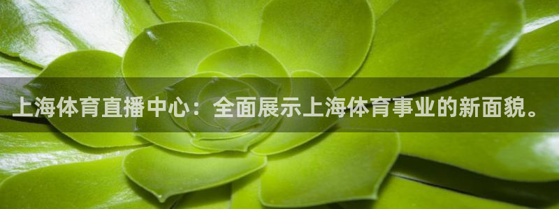 上海体育直播中心：全面展示上海体育事业的新面貌。