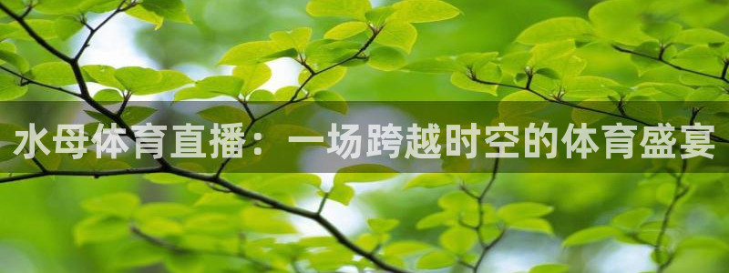 水母体育直播：一场跨越时空的体育盛宴