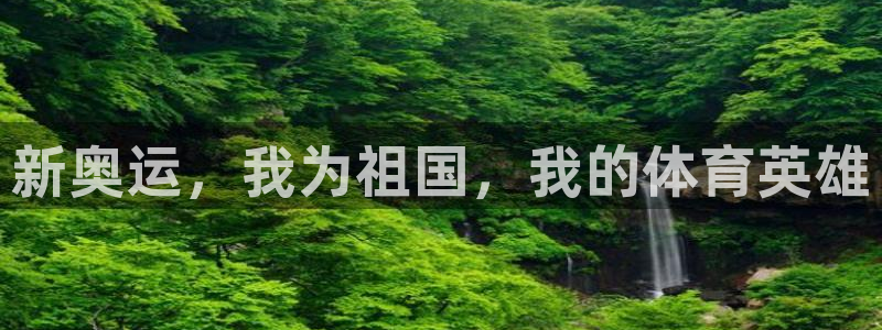 新奥运，我为祖国，我的体育英雄