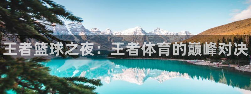 王者篮球之夜：王者体育的巅峰对决