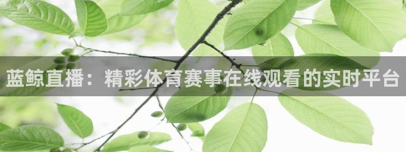 蓝鲸直播：精彩体育赛事在线观看的实时平台