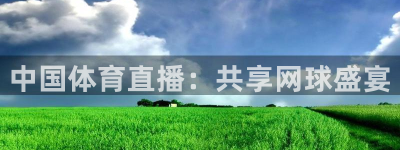 中国体育直播：共享网球盛宴