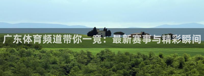 广东体育频道带你一竟：最新赛事与精彩瞬间
